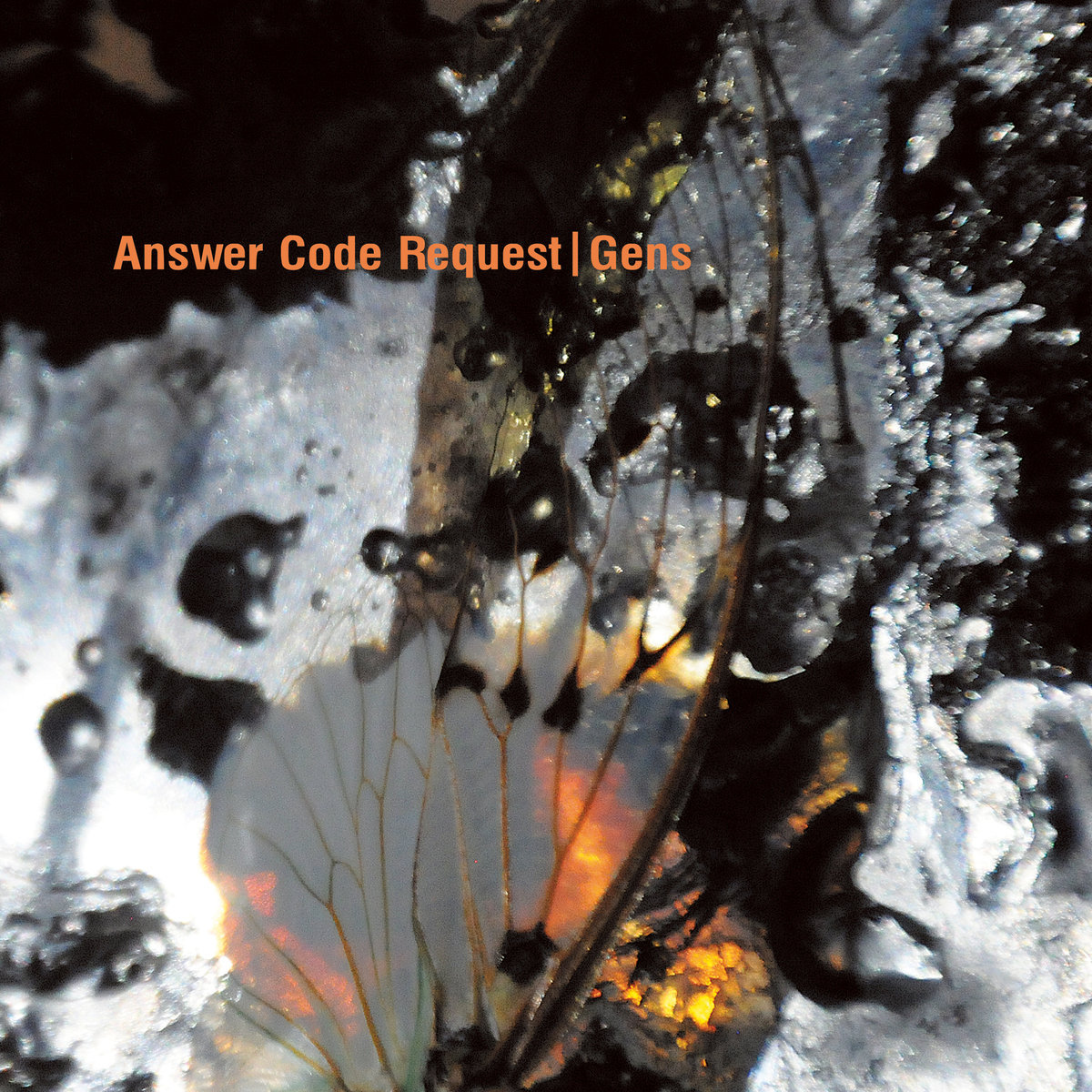 Cover art for Answer Code Request's Gens